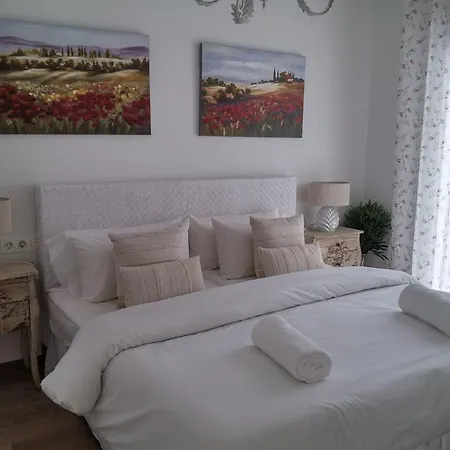Centre Mediterranean House- 5 Bedroom, 4 Bathroom, Terrace Courtyard, Private Rooptop Pool Holiday home *